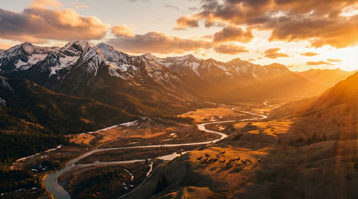 含羞草黄自然纪录片山河壮丽